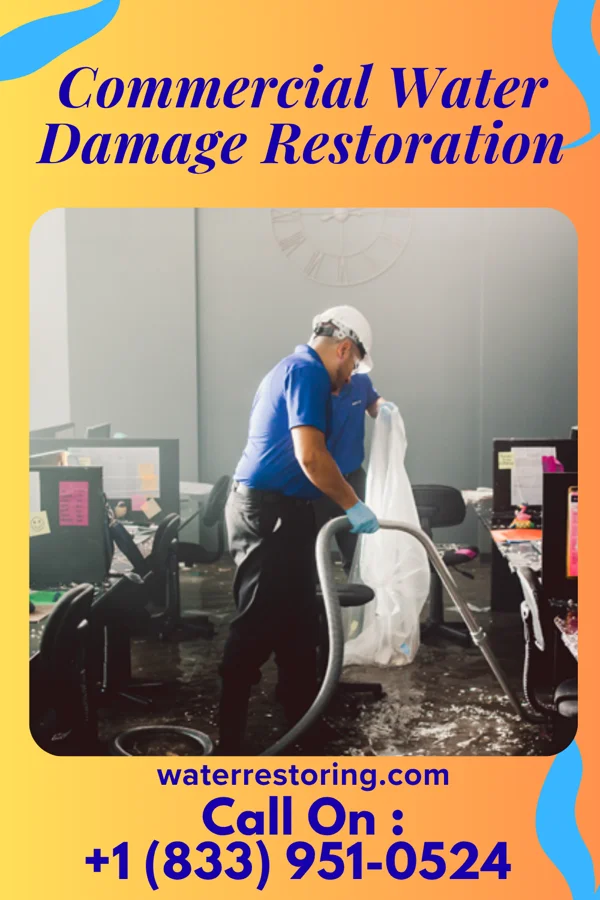 Commercial Water Damage Restoration in Ellendale, MN