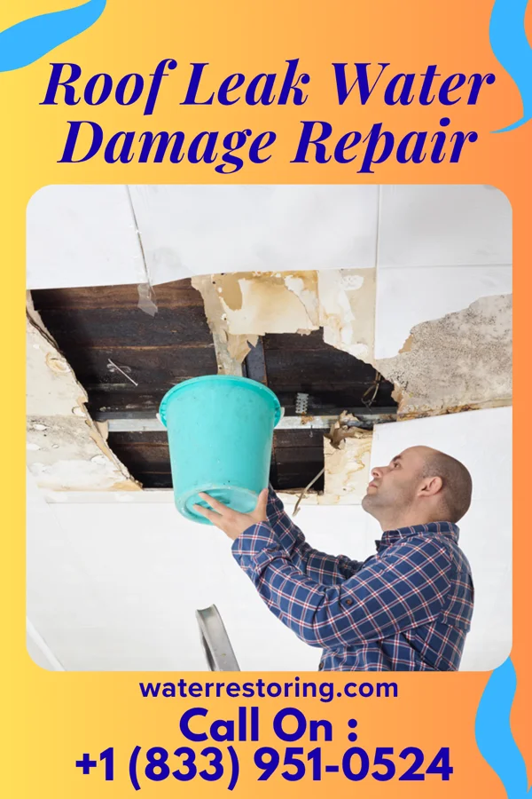 Roof Leak Water Damage Repair in Ellendale, MN